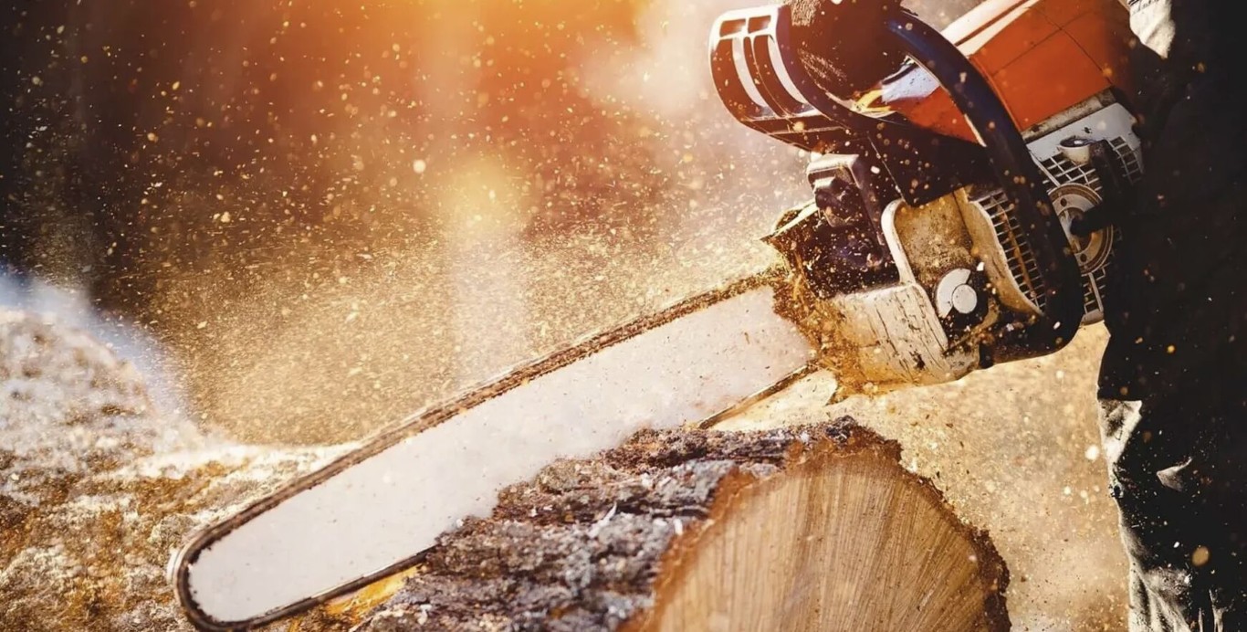 Professional shrub and hedge trimming service in Four Corners, FL